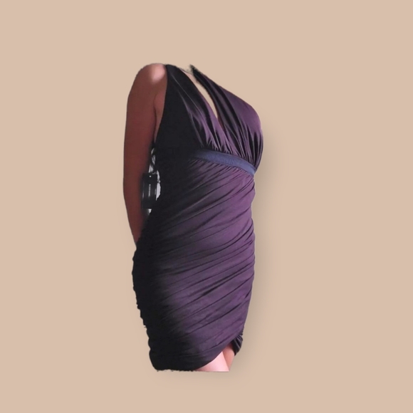 BCBG DRESS NWT - Picture 5 of 8